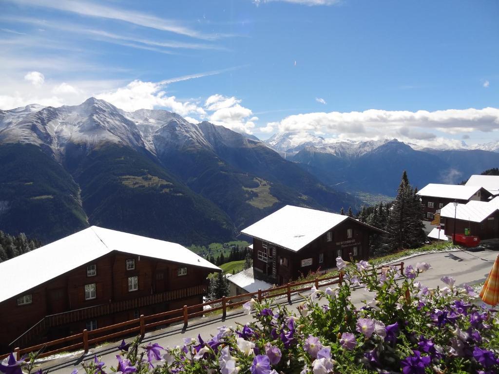 Hotel Alpfrieden Bettmeralp Εξωτερικό φωτογραφία