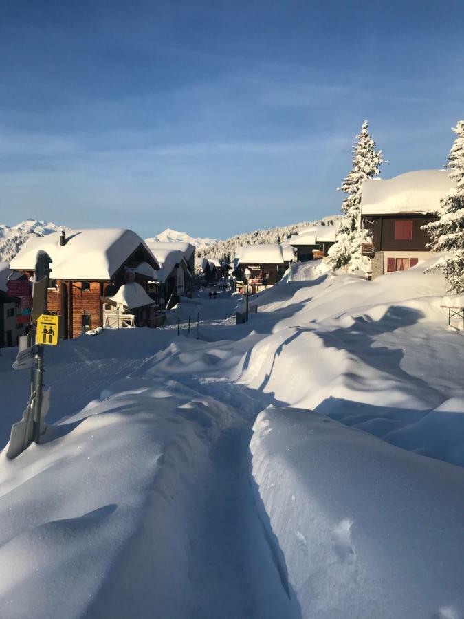Hotel Alpfrieden Bettmeralp Εξωτερικό φωτογραφία